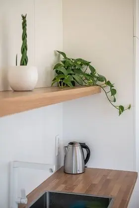 Luxury Çatı Katı Süiti (Penthouse)