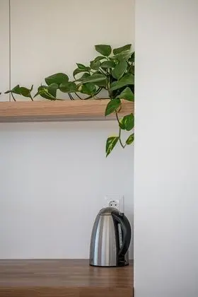 Luxury Çatı Katı Süiti (Penthouse)
