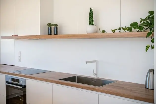 Luxury Çatı Katı Süiti (Penthouse)