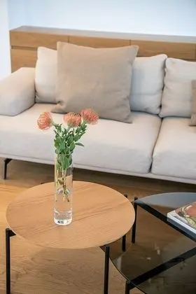 Luxury Çatı Katı Süiti (Penthouse)