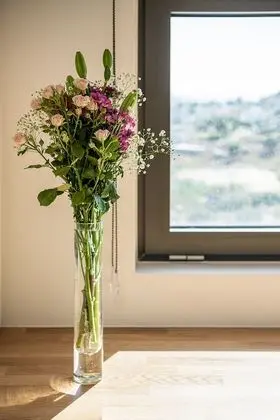 Luxury Çatı Katı Süiti (Penthouse)