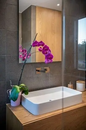 Luxury Çatı Katı Süiti (Penthouse)