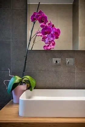 Luxury Çatı Katı Süiti (Penthouse)
