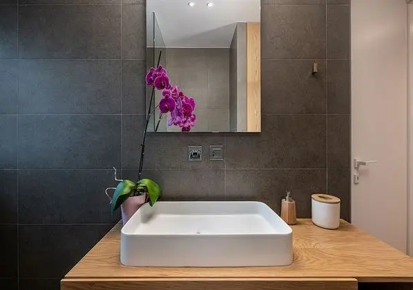 Luxury Çatı Katı Süiti (Penthouse)