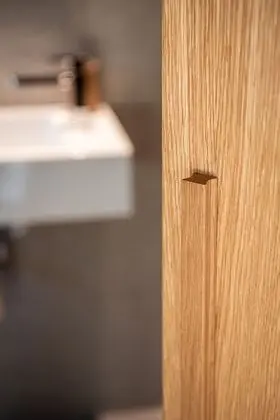 Luxury Çatı Katı Süiti (Penthouse)