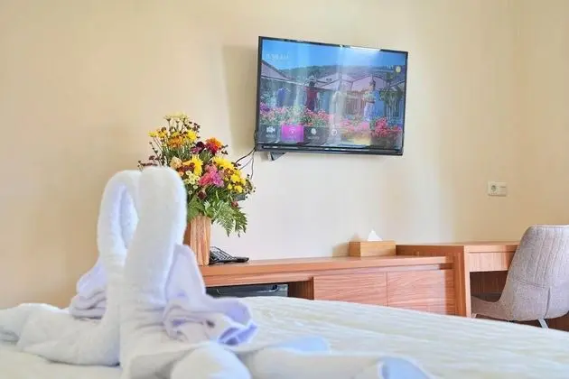 Deluxe Tek Büyük veya İki Ayrı Yataklı Oda, Bahçe Manzaralı