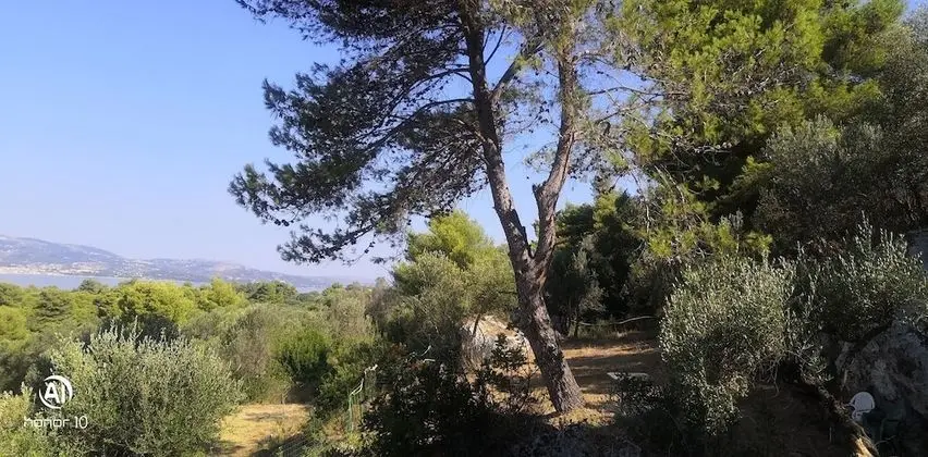 Standard Stüdyo, Bahçe Manzaralı