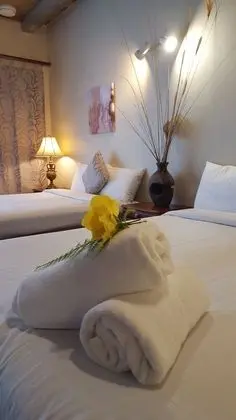 Deluxe Tek Büyük veya İki Ayrı Yataklı Oda, Sigara İçilmez, Mutfak
