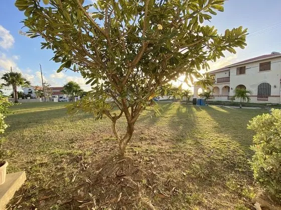 Lovely 1 Bedroom Unit Lower Level