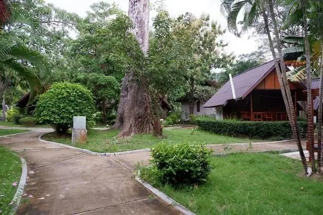 Bungalow Garden View