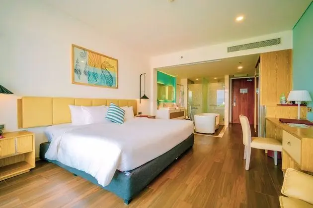 Premium Tek Büyük Yataklı Oda, Şehir Manzaralı