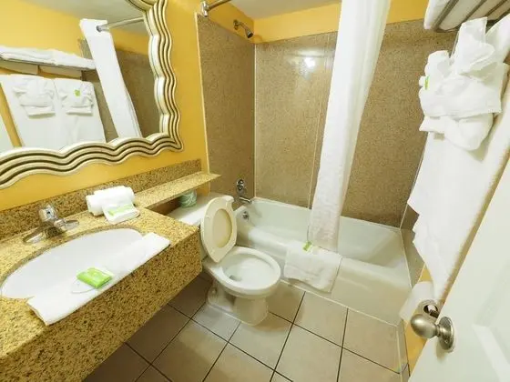 Deluxe Süit, Birden Çok Yatak, Sigara İçilmez, Havuz Manzaralı