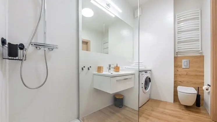 Deluxe Apart Daire, 1 Büyük (Queen) Boy Yatak ve Çekyat, Sauna