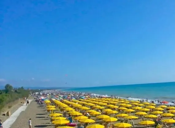 Apart Daire, 2 Yatak Odası, Balkon