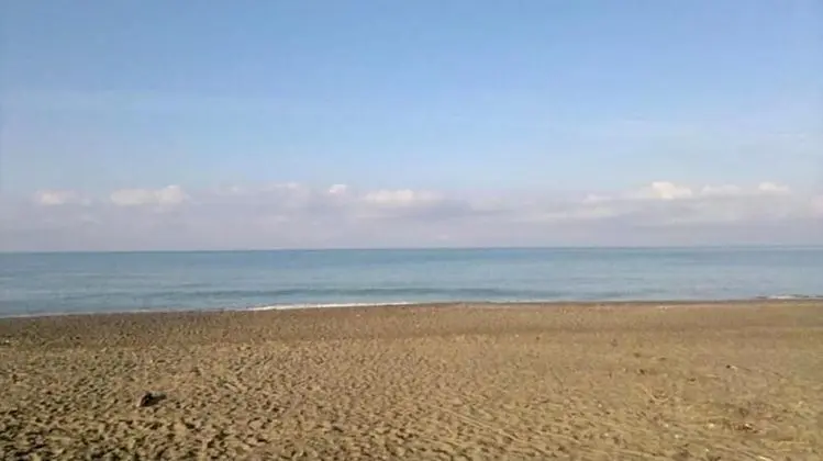 Apart Daire, 2 Yatak Odası, Balkon