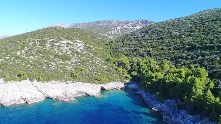 Stüdyo (Studio Apartment with SeaView)