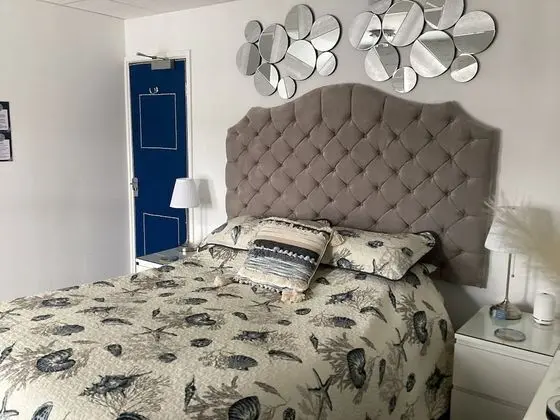 Superior Tek Büyük Yataklı Oda