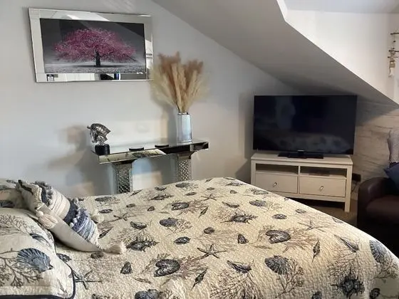 Superior Tek Büyük Yataklı Oda