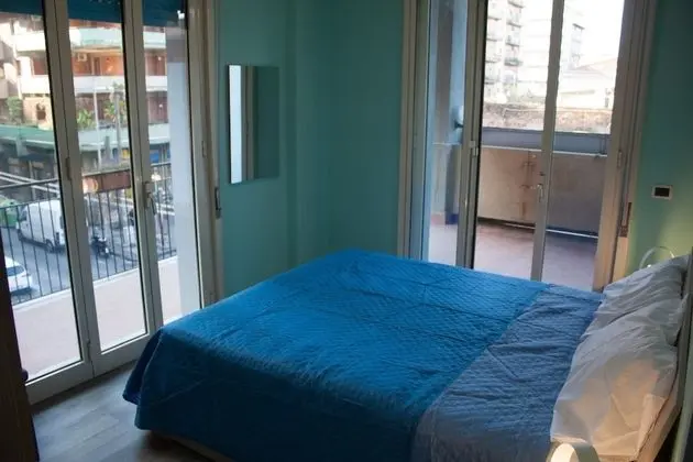 Tek Büyük Yataklı Oda, Engellilere Uygun (Acqua)