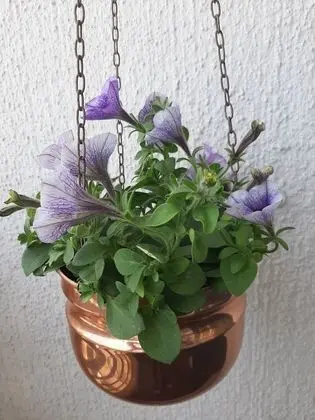 Superior Apart Daire, Kısmi Deniz Manzaralı