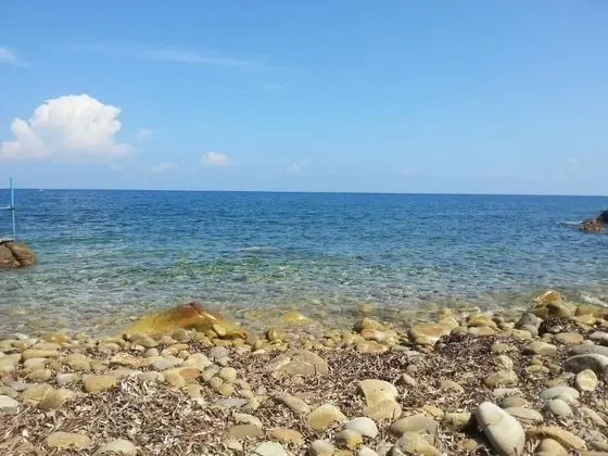 Apart Daire, 2 Yatak Odası, Balkon