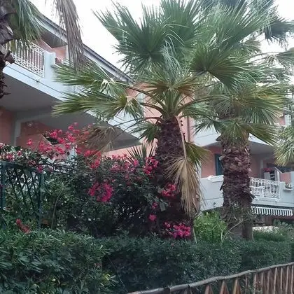 Apart Daire, 2 Yatak Odası, Balkon