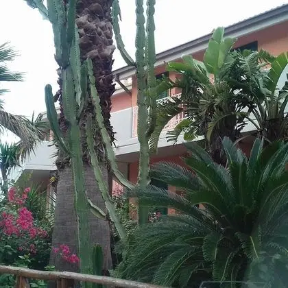 Apart Daire, 2 Yatak Odası, Balkon