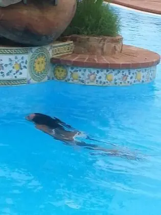 Apart Daire, 2 Yatak Odası, Balkon