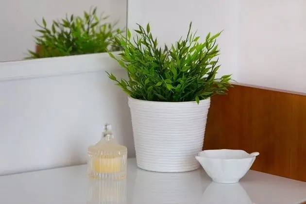 Deluxe Apart Daire, Birden Çok Yatak, Sigara İçilmez