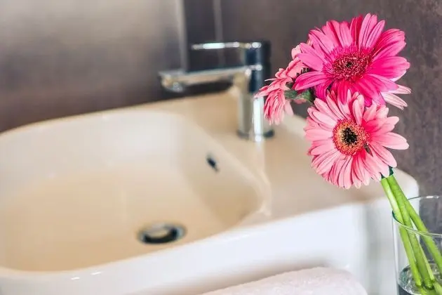 Comfort Tek Büyük Yataklı Oda, Sigara İçilmez (n.2)