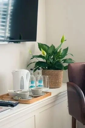 Deluxe Tek Büyük Yataklı Oda, Banyolu/Duşlu, Avlu Manzaralı (Super King - Twin - Yard)