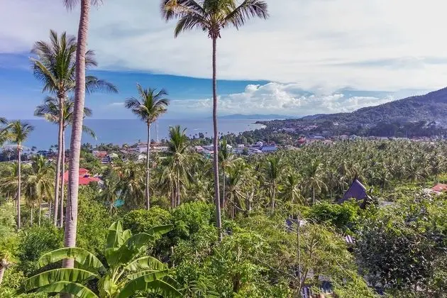Lower on the Mountain One-Bedroom Villa