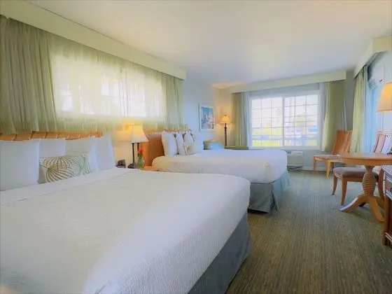 Mini Suite