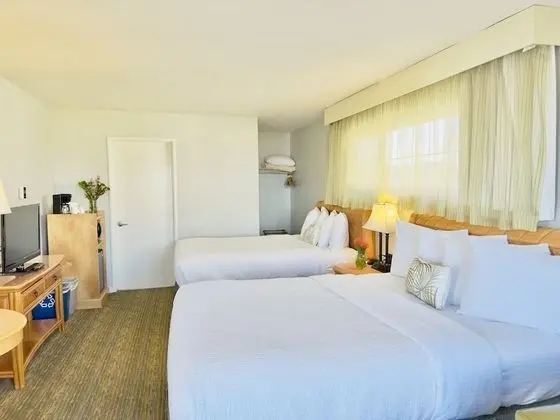 Mini Suite