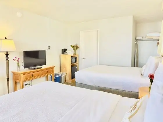 Mini Suite