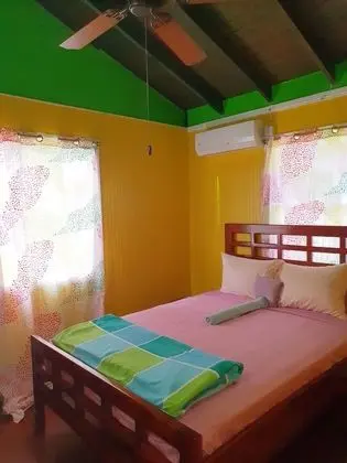 Traditional Kır Evi, Birden Çok Yatak, Sigara İçilmez