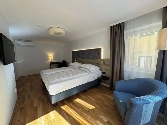 Deluxe Tek Büyük veya İki Ayrı Yataklı Oda, Sigara İçilmez