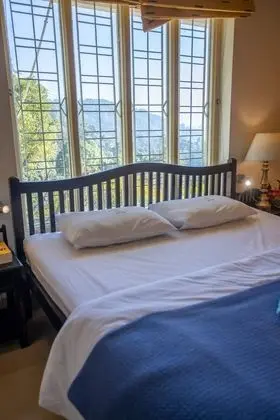 Deluxe Oda, 1 Çift Kişilik Yatak, Balkon