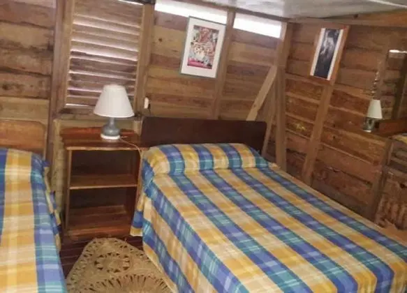 Basic Kulübe, 2 Çift Kişilik Yatak, Bahçe Manzaralı