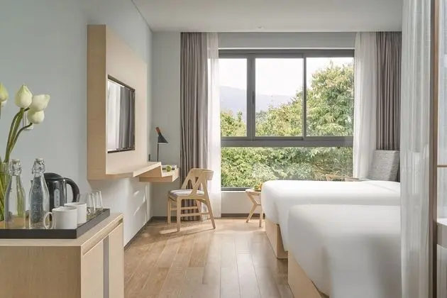 Deluxe İki Ayrı Yataklı Oda, Şehir Manzaralı