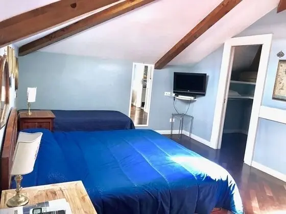 Standard Tek Büyük Yataklı Oda, Banyolu/Duşlu