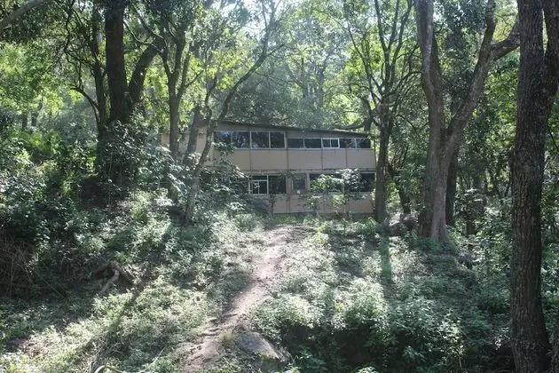 Ağaç Ev, Dağ Manzaralı
