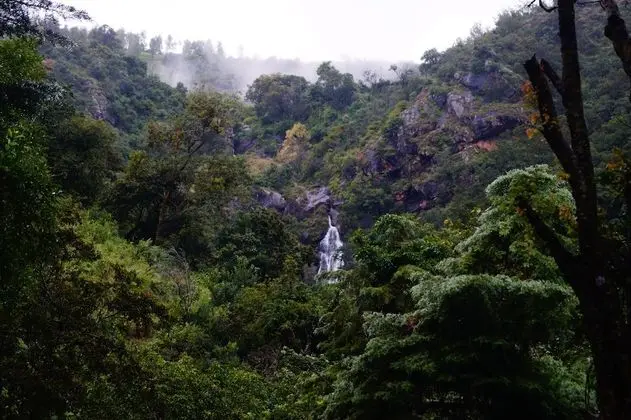 Ağaç Ev, Dağ Manzaralı