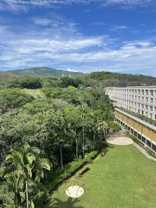 Junior Suite Tropical View Double
