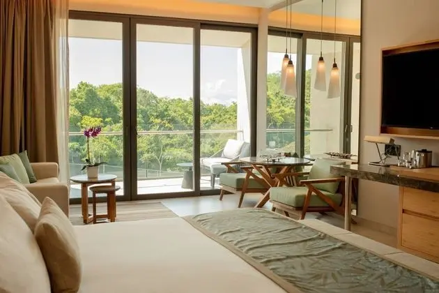 Junior Suite Tropical View King
