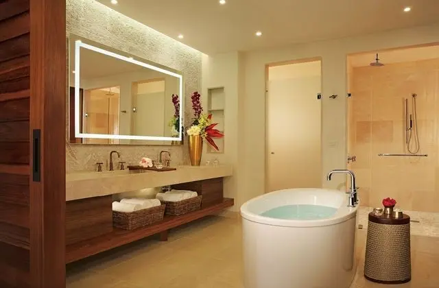 Preferred Club Master Suite Plunge Pool Ocean Front King