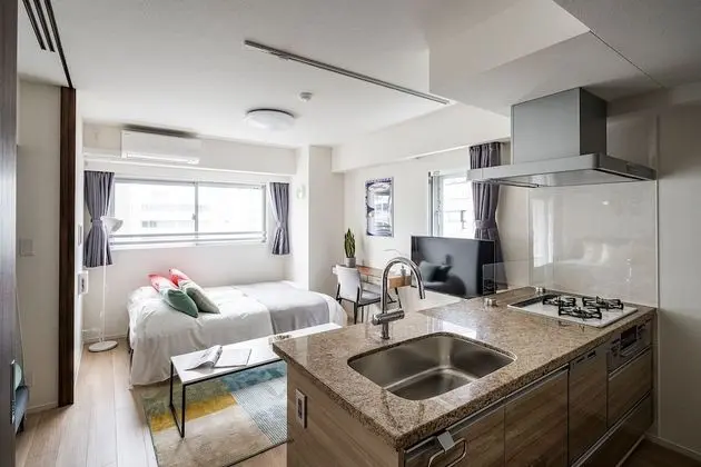 Deluxe Apart Daire (1 Bedroom)