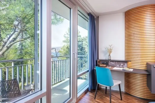 Tek Büyük Yataklı Oda, Balkon, Park Manzaralı