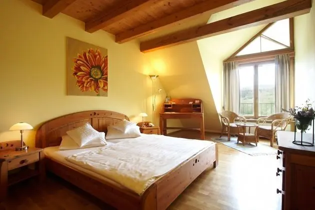 Superior Tek Büyük Yataklı Oda