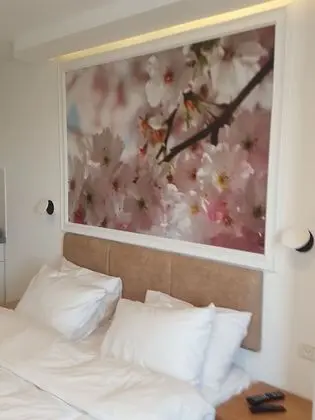 City Stüdyo, 1 Yatak Odası, Sigara İçilmez, Şehir Manzaralı